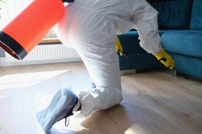 Fumigation Service in Davis County, UT