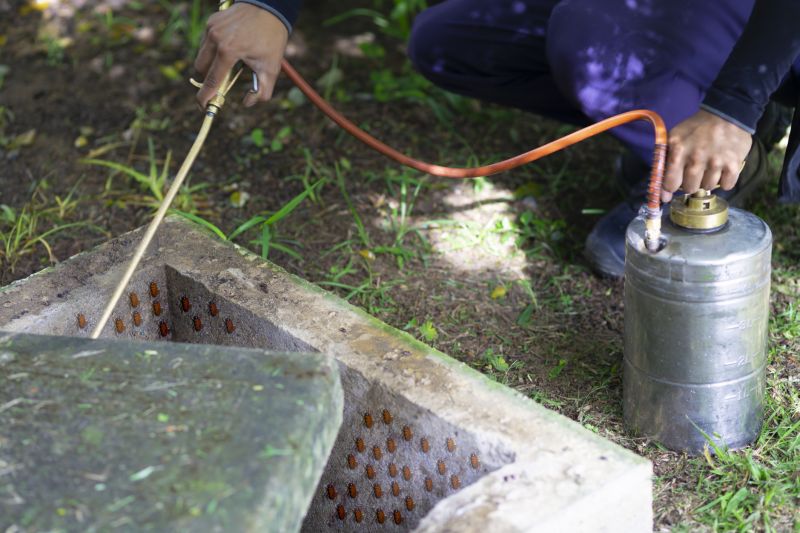 Pest Fumigation Service in Cumming, GA