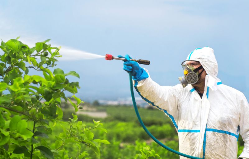 Pest Fumigation Service in Wilmington, NC