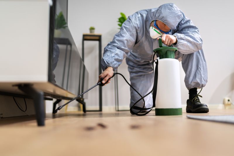 Rat Fumigation Service in Winston Salem, NC